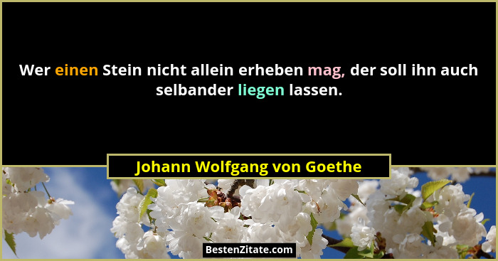 Wer einen Stein nicht allein erheben mag, der soll ihn auch selbander liegen lassen.... - Johann Wolfgang von Goethe