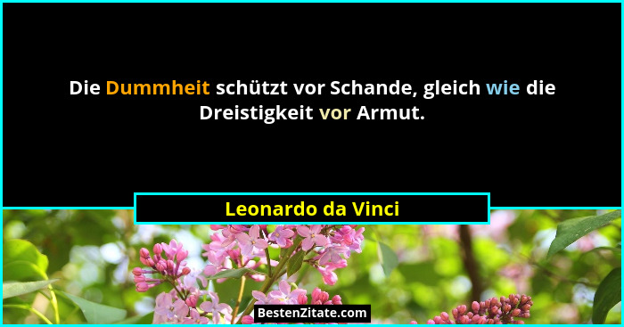 Die Dummheit schützt vor Schande, gleich wie die Dreistigkeit vor Armut.... - Leonardo da Vinci