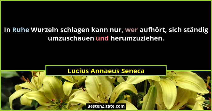 In Ruhe Wurzeln schlagen kann nur, wer aufhört, sich ständig umzuschauen und herumzuziehen.... - Lucius Annaeus Seneca