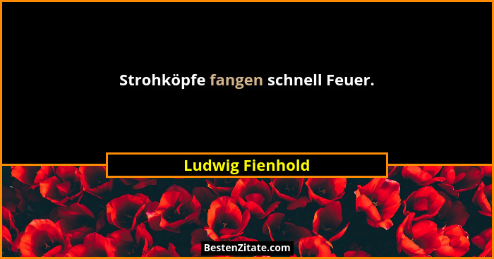 Strohköpfe fangen schnell Feuer.... - Ludwig Fienhold