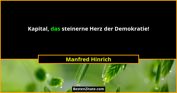 Kapital, das steinerne Herz der Demokratie!... - Manfred Hinrich
