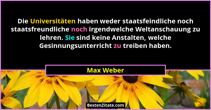 Die Universitäten haben weder staatsfeindliche noch staatsfreundliche noch irgendwelche Weltanschauung zu lehren. Sie sind keine Anstalten... - Max Weber