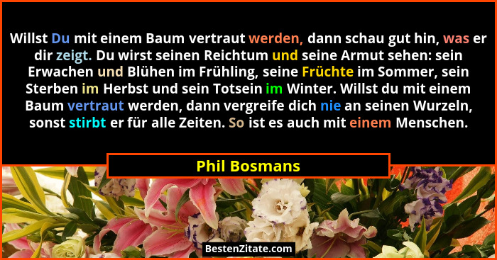 Willst Du mit einem Baum vertraut werden, dann schau gut hin, was er dir zeigt. Du wirst seinen Reichtum und seine Armut sehen: sein Er... - Phil Bosmans