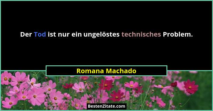 Der Tod ist nur ein ungelöstes technisches Problem.... - Romana Machado