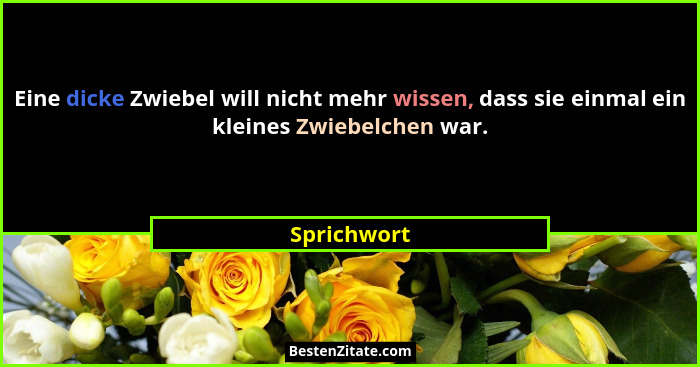 Eine dicke Zwiebel will nicht mehr wissen, dass sie einmal ein kleines Zwiebelchen war.... - Sprichwort