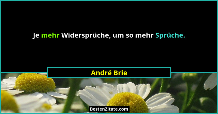 Je mehr Widersprüche, um so mehr Sprüche.... - André Brie