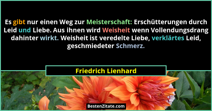 Es gibt nur einen Weg zur Meisterschaft: Erschütterungen durch Leid und Liebe. Aus ihnen wird Weisheit wenn Vollendungsdrang dahi... - Friedrich Lienhard
