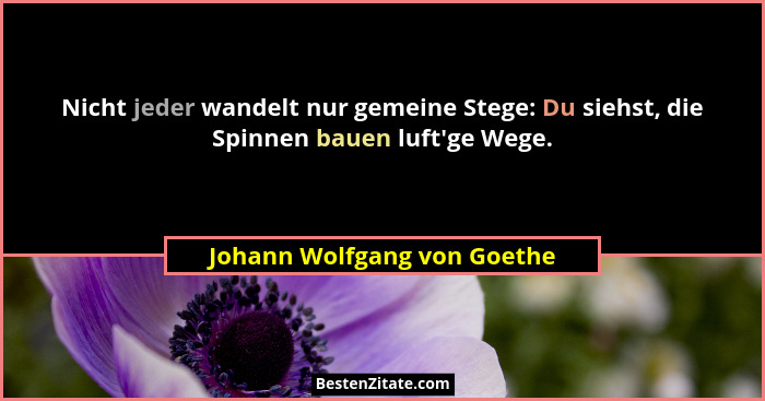 Nicht jeder wandelt nur gemeine Stege: Du siehst, die Spinnen bauen luft'ge Wege.... - Johann Wolfgang von Goethe
