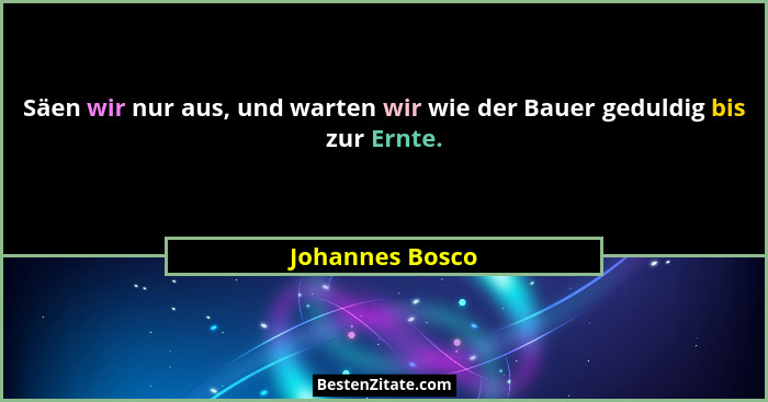 Säen wir nur aus, und warten wir wie der Bauer geduldig bis zur Ernte.... - Johannes Bosco