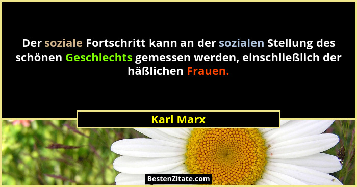 Der soziale Fortschritt kann an der sozialen Stellung des schönen Geschlechts gemessen werden, einschließlich der häßlichen Frauen.... - Karl Marx