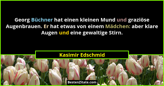Georg Büchner hat einen kleinen Mund und graziöse Augenbrauen. Er hat etwas von einem Mädchen: aber klare Augen und eine gewaltige... - Kasimir Edschmid