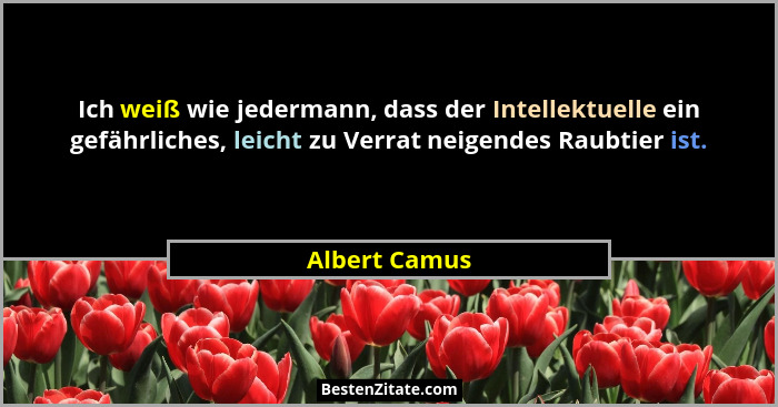 Ich weiß wie jedermann, dass der Intellektuelle ein gefährliches, leicht zu Verrat neigendes Raubtier ist.... - Albert Camus