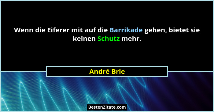 Wenn die Eiferer mit auf die Barrikade gehen, bietet sie keinen Schutz mehr.... - André Brie