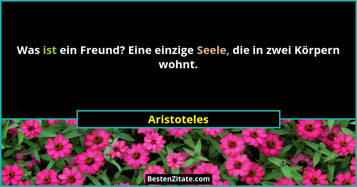 Was ist ein Freund? Eine einzige Seele, die in zwei Körpern wohnt.... - Aristoteles