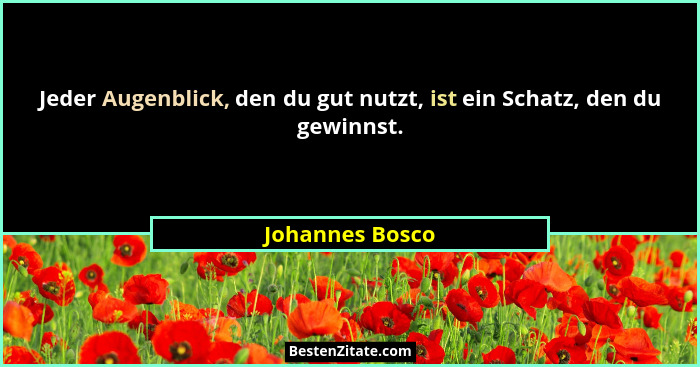 Jeder Augenblick, den du gut nutzt, ist ein Schatz, den du gewinnst.... - Johannes Bosco