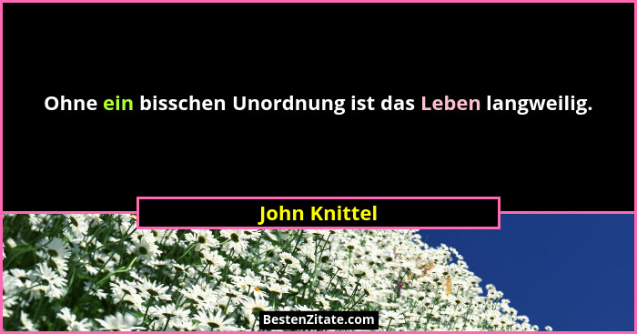 Ohne ein bisschen Unordnung ist das Leben langweilig.... - John Knittel