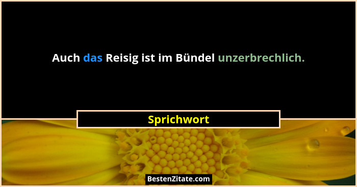 Auch das Reisig ist im Bündel unzerbrechlich.... - Sprichwort