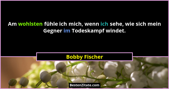 Am wohlsten fühle ich mich, wenn ich sehe, wie sich mein Gegner im Todeskampf windet.... - Bobby Fischer