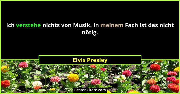 Ich verstehe nichts von Musik. In meinem Fach ist das nicht nötig.... - Elvis Presley