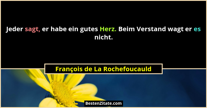Jeder sagt, er habe ein gutes Herz. Beim Verstand wagt er es nicht.... - François de La Rochefoucauld