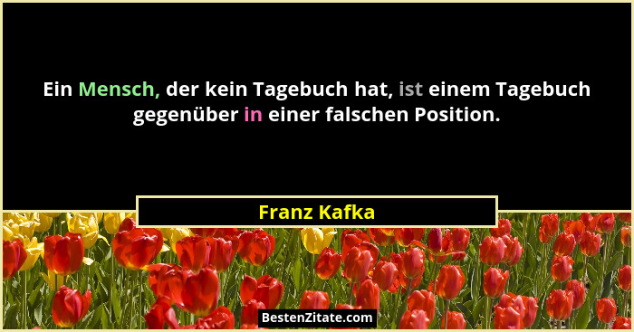 Ein Mensch, der kein Tagebuch hat, ist einem Tagebuch gegenüber in einer falschen Position.... - Franz Kafka