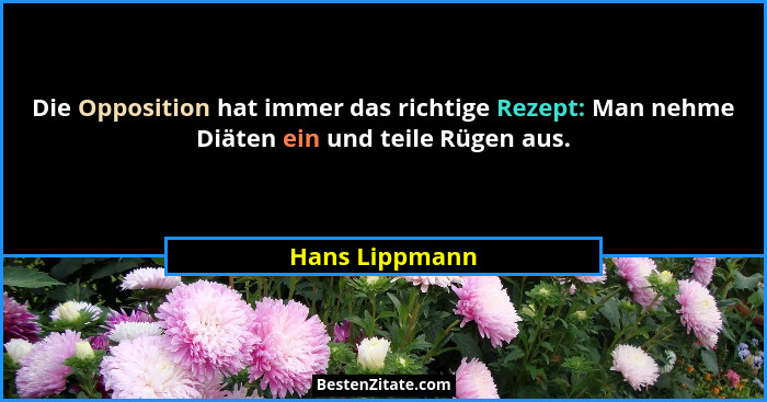 Die Opposition hat immer das richtige Rezept: Man nehme Diäten ein und teile Rügen aus.... - Hans Lippmann