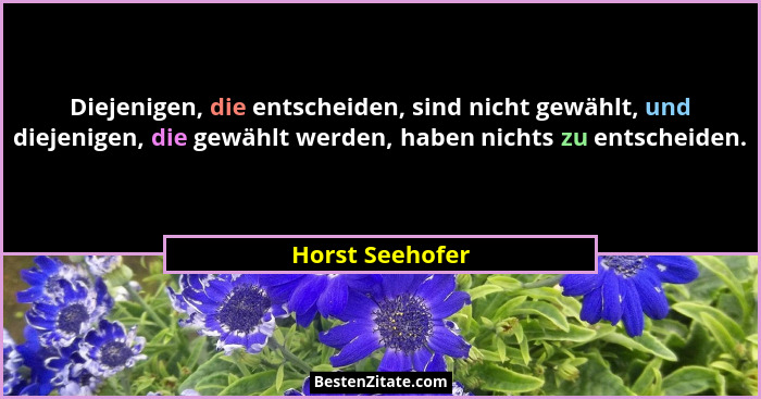 Diejenigen, die entscheiden, sind nicht gewählt, und diejenigen, die gewählt werden, haben nichts zu entscheiden.... - Horst Seehofer