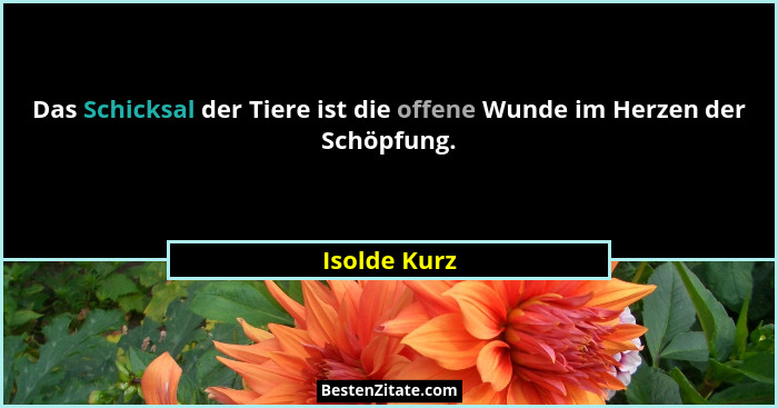 Das Schicksal der Tiere ist die offene Wunde im Herzen der Schöpfung.... - Isolde Kurz