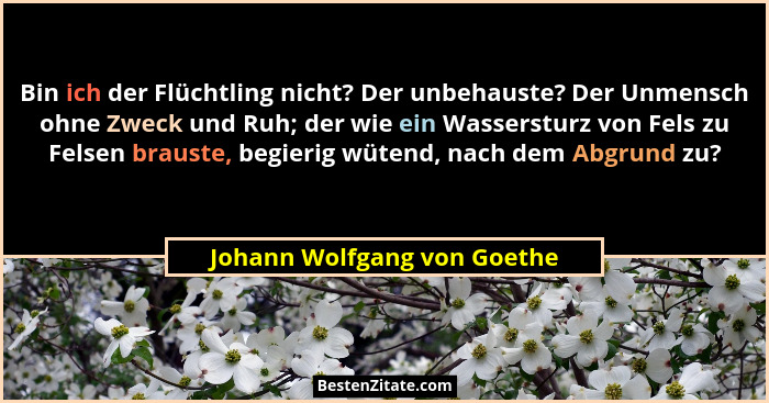 Bin ich der Flüchtling nicht? Der unbehauste? Der Unmensch ohne Zweck und Ruh; der wie ein Wassersturz von Fels zu Felsen... - Johann Wolfgang von Goethe