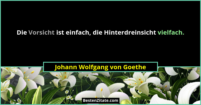 Die Vorsicht ist einfach, die Hinterdreinsicht vielfach.... - Johann Wolfgang von Goethe