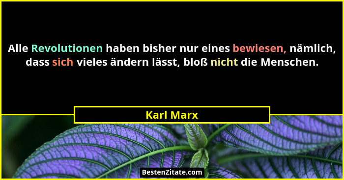 Alle Revolutionen haben bisher nur eines bewiesen, nämlich, dass sich vieles ändern lässt, bloß nicht die Menschen.... - Karl Marx