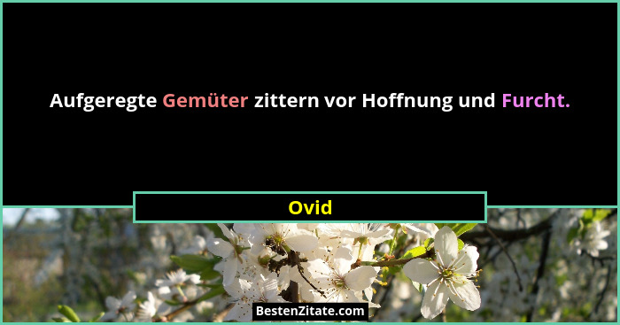 Aufgeregte Gemüter zittern vor Hoffnung und Furcht.... - Ovid