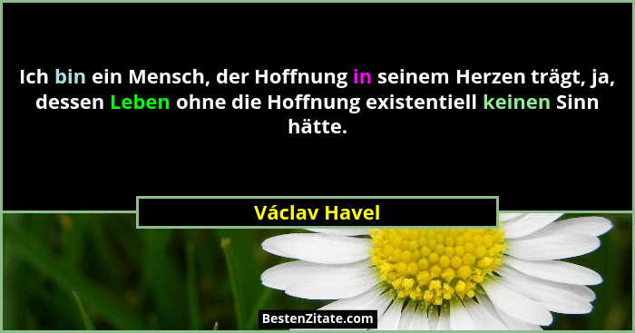 Ich bin ein Mensch, der Hoffnung in seinem Herzen trägt, ja, dessen Leben ohne die Hoffnung existentiell keinen Sinn hätte.... - Václav Havel