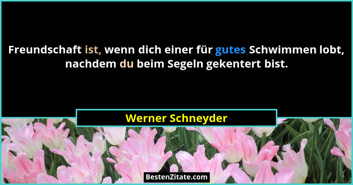 Freundschaft ist, wenn dich einer für gutes Schwimmen lobt, nachdem du beim Segeln gekentert bist.... - Werner Schneyder