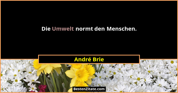 Die Umwelt normt den Menschen.... - André Brie