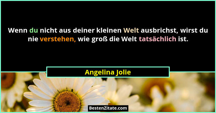 Wenn du nicht aus deiner kleinen Welt ausbrichst, wirst du nie verstehen, wie groß die Welt tatsächlich ist.... - Angelina Jolie