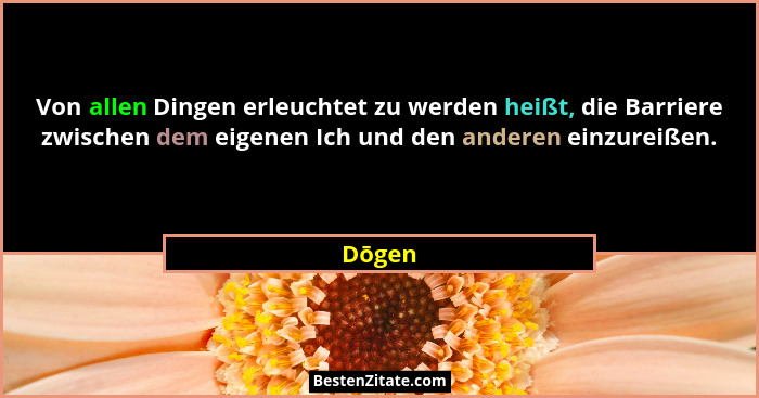 Von allen Dingen erleuchtet zu werden heißt, die Barriere zwischen dem eigenen Ich und den anderen einzureißen.... - Dōgen