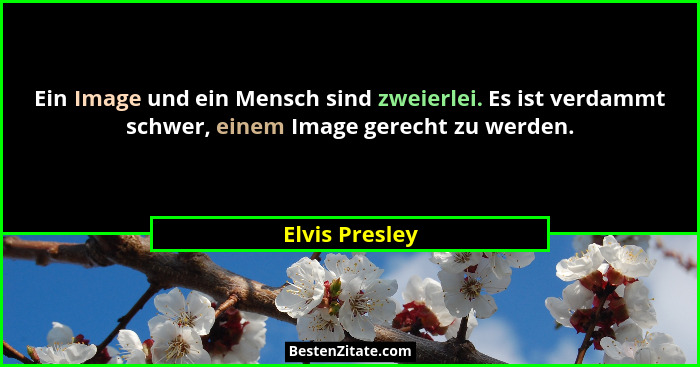 Ein Image und ein Mensch sind zweierlei. Es ist verdammt schwer, einem Image gerecht zu werden.... - Elvis Presley