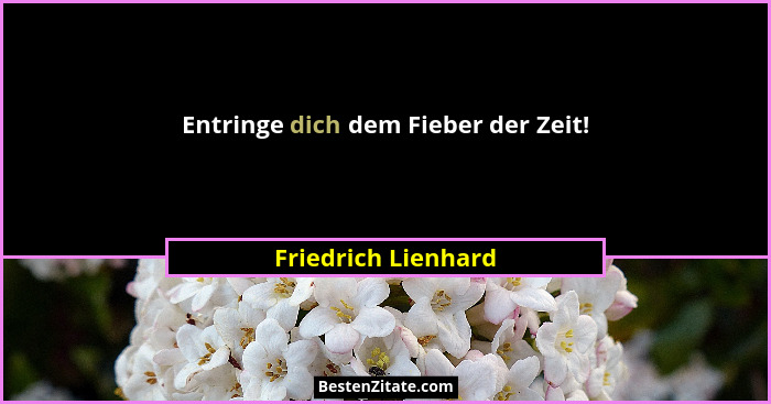 Entringe dich dem Fieber der Zeit!... - Friedrich Lienhard