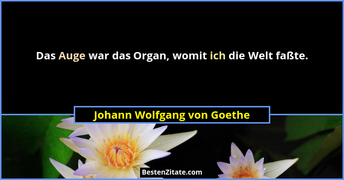 Das Auge war das Organ, womit ich die Welt faßte.... - Johann Wolfgang von Goethe