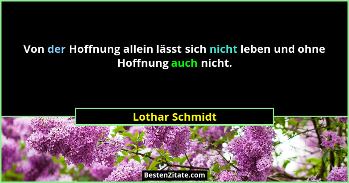 Von der Hoffnung allein lässt sich nicht leben und ohne Hoffnung auch nicht.... - Lothar Schmidt