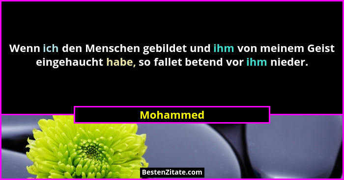 Wenn ich den Menschen gebildet und ihm von meinem Geist eingehaucht habe, so fallet betend vor ihm nieder.... - Mohammed