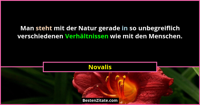 Man steht mit der Natur gerade in so unbegreiflich verschiedenen Verhältnissen wie mit den Menschen.... - Novalis