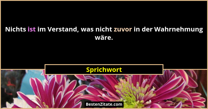 Nichts ist im Verstand, was nicht zuvor in der Wahrnehmung wäre.... - Sprichwort