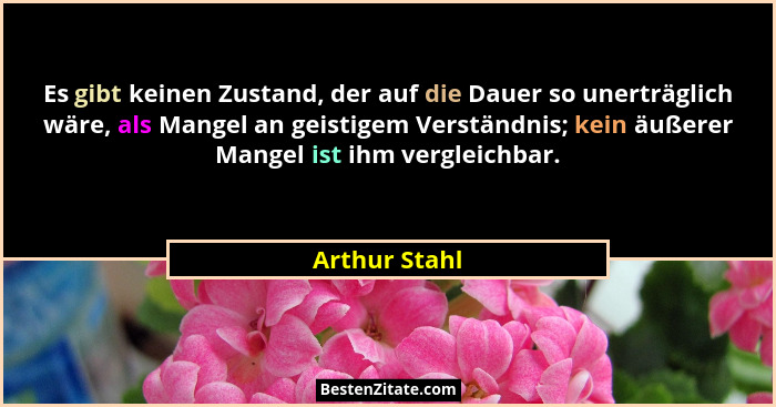 Es gibt keinen Zustand, der auf die Dauer so unerträglich wäre, als Mangel an geistigem Verständnis; kein äußerer Mangel ist ihm vergle... - Arthur Stahl