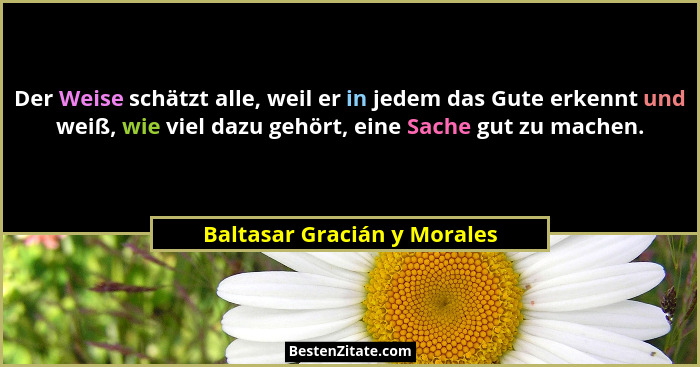 Der Weise schätzt alle, weil er in jedem das Gute erkennt und weiß, wie viel dazu gehört, eine Sache gut zu machen.... - Baltasar Gracián y Morales