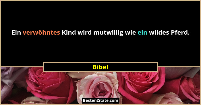 Ein verwöhntes Kind wird mutwillig wie ein wildes Pferd.... - Bibel