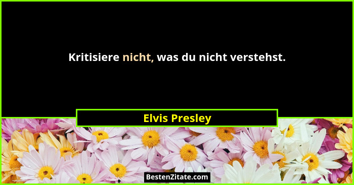 Kritisiere nicht, was du nicht verstehst.... - Elvis Presley