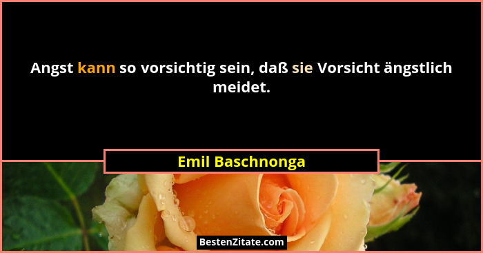 Angst kann so vorsichtig sein, daß sie Vorsicht ängstlich meidet.... - Emil Baschnonga
