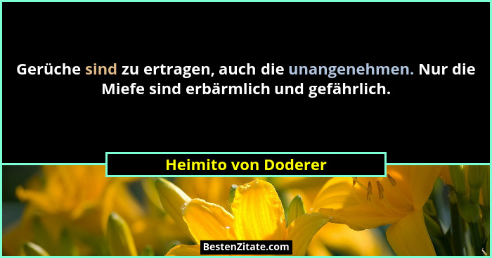 Gerüche sind zu ertragen, auch die unangenehmen. Nur die Miefe sind erbärmlich und gefährlich.... - Heimito von Doderer